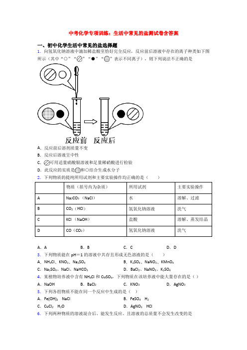 中考化学专项训练：生活中常见的盐测试卷含答案