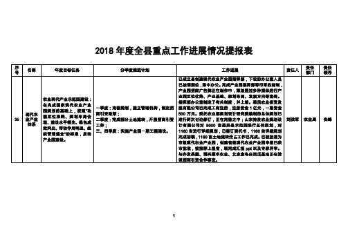 2018全重点工作进展情况提报表