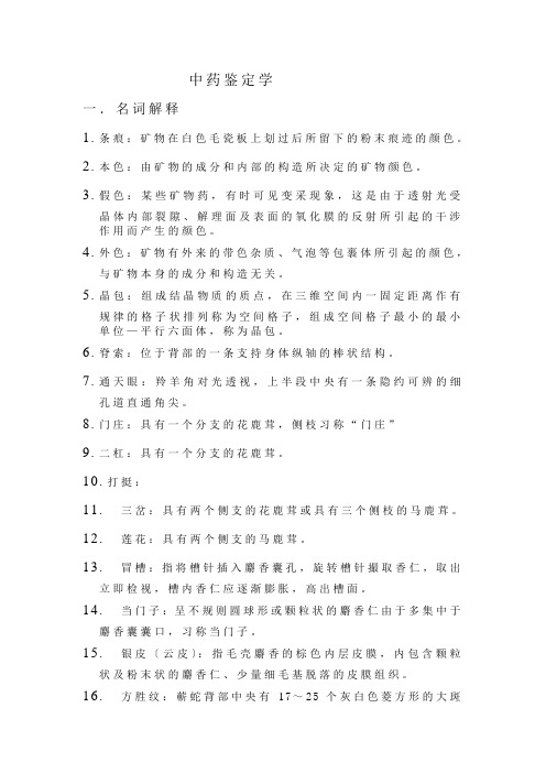 中药坚定学复习提纲