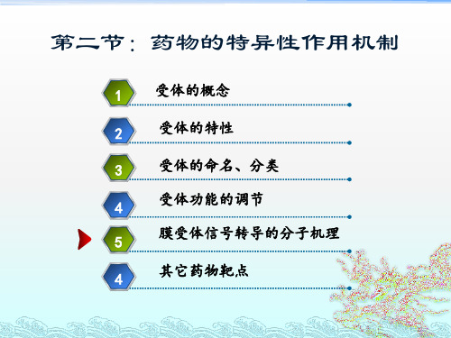 药物的特异性作用机制(1)