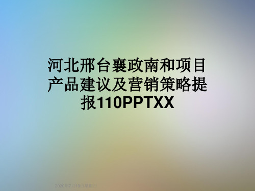 河北邢台襄政南和项目产品建议及营销策略提报110PPTXX