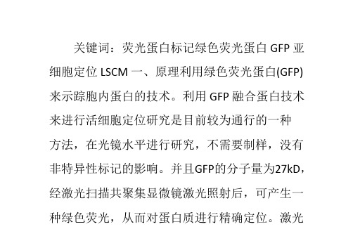 绿色荧光蛋白(GFP)标记亚细胞定位