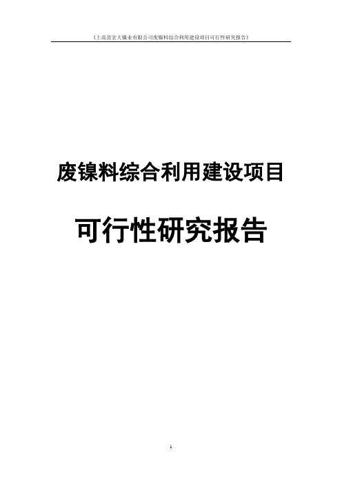 废镍料综合利用建设项目可行性研究报告