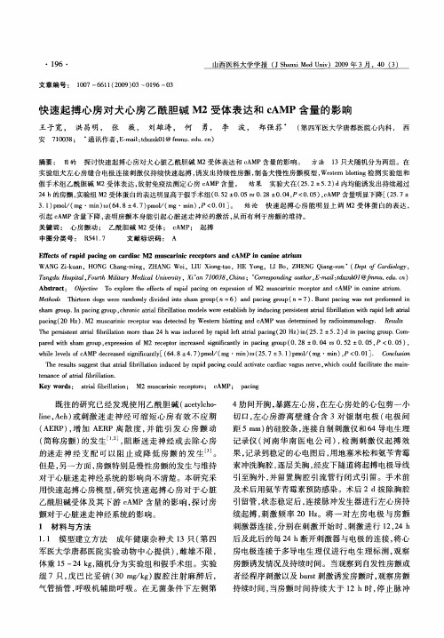 快速起搏心房对犬心房乙酰胆碱M2受体表达和cAMP含量的影响