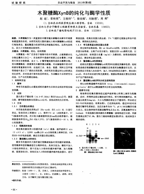 木聚糖酶XynB的纯化与酶学性质