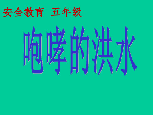 五年级安全教育课件-预防和应对洪水中自救 全国通用(共23张PPT)