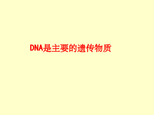 DNA是主要遗传物质