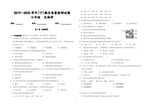 2019-2020学年七年级下册生物期中试卷