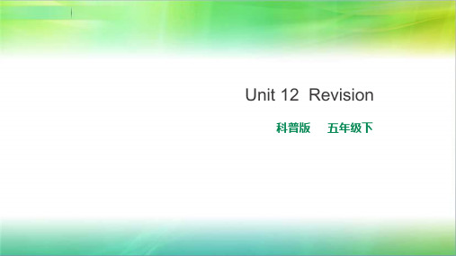 科普版小学英语五年级下册英语lesson12Revision