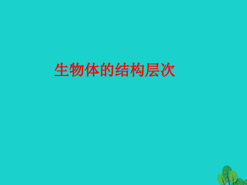 七年级生物上册 第三章 第二节 生物体 生物体的结构层次课件 (新版)北京版