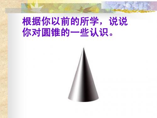5.9圆锥的侧面积和全面积