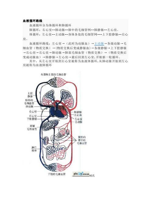 循环 Microsoft Word 文档