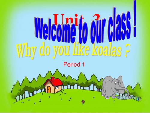 七年级英语Why_do_you_like_koalas课件