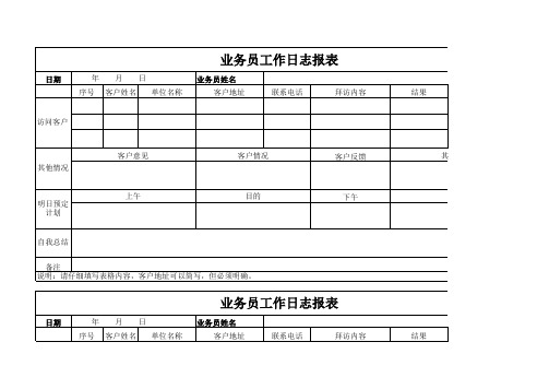 业务员工作日志报表模板 