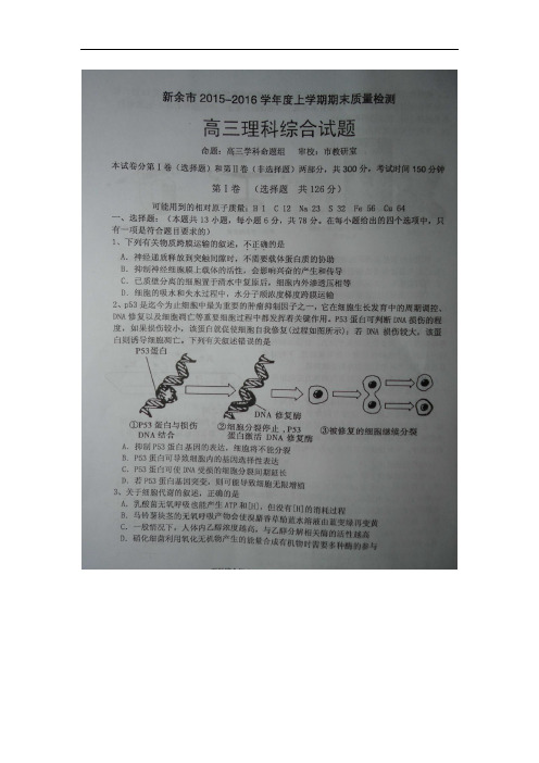 江西省新余市2016届高三上学期期末质量检测理科综合试题(图片版)