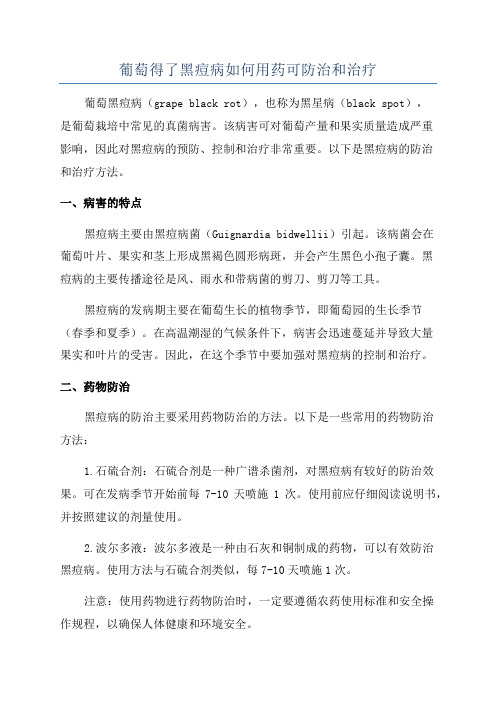 葡萄得了黑痘病如何用药可防治和治疗