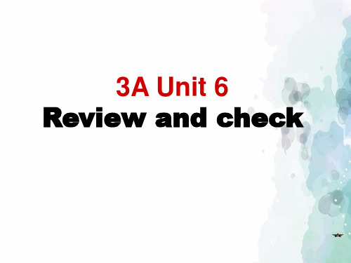 牛津苏教版-英语-三年级上册-3A Unit6 Review and check公开课