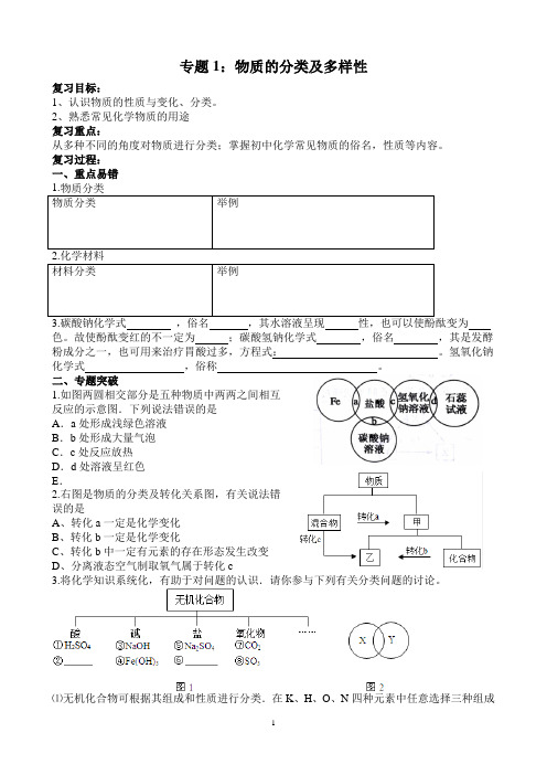 2024年中考化学二轮专题复习导学案：物质的分类及多样性