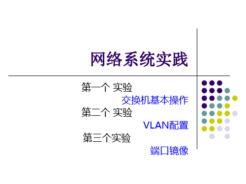 网络系统实践_交换机配置课件