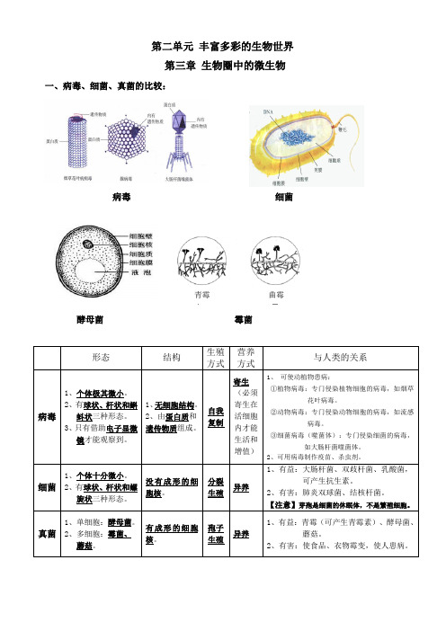 七年级上册生物第二单元丰富多彩的生物世界第三章生物圈中的微生物第四章生物的分类复习知识点