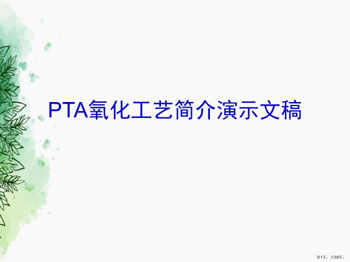 PTA氧化工艺简介演示文稿