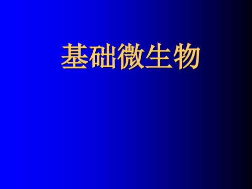 微生物基本知识