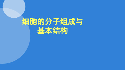 细胞的分子组成与基本结构重点精讲(共14张PPT)