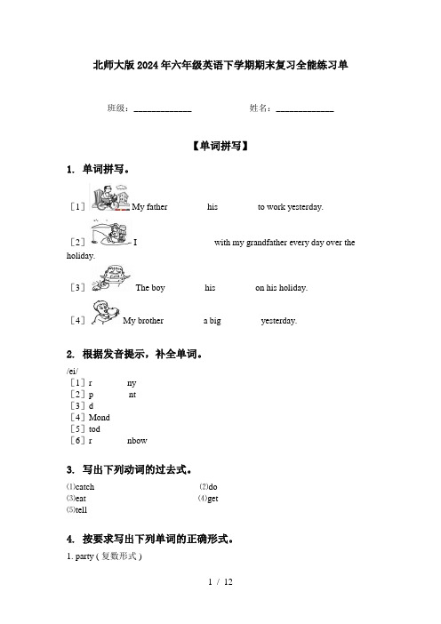 北师大版2024年六年级英语下学期期末复习全能练习单