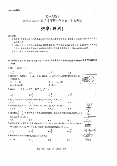 天一大联考海南省2018-2019 学年第一学期高三期末考试数学( 理科)试题及答案