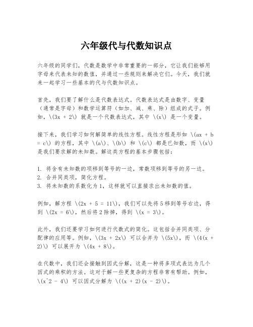 六年级代与代数知识点