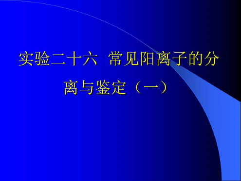 实验二十六常见阳离子的分离和鉴定_2022年学习资料