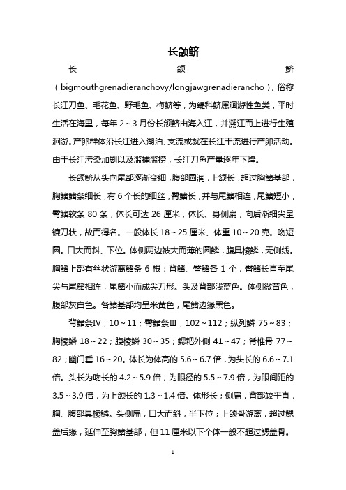 长颌鲚