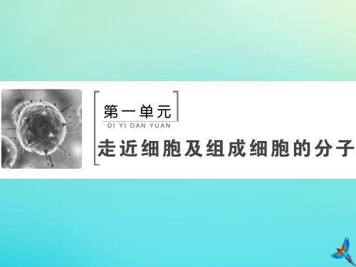 2020版高考生物一轮复习第1讲走近细胞课件新人教版201907241252