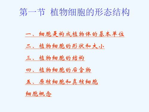 2015生物奥赛辅导植物形态解剖学172ppt