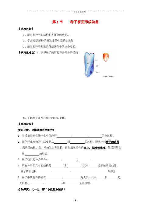 四川省成都市青白江区祥福中学初中七年级生物上册 6.1 种子萌发形成幼苗名师精编导学案(无答案) 北师大版