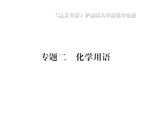 秋九年级化学(遵义)：专题2 化学用语 课件(共21张PPT)