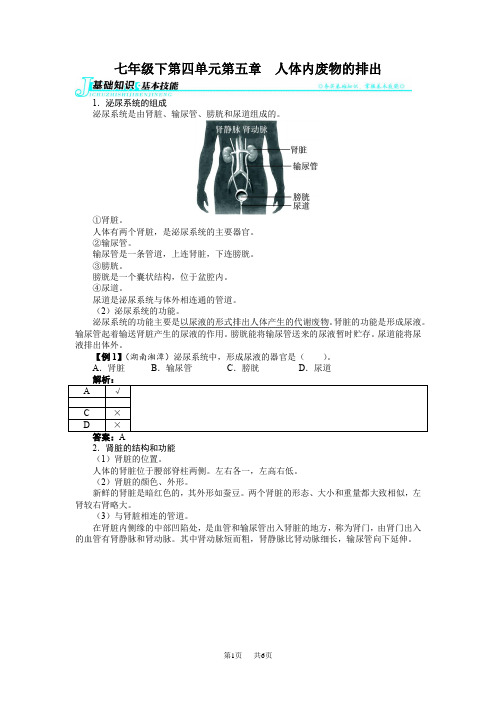 【人教版】七年级生物下册第四单元第五章人体内废物的排出练习题及答案解析