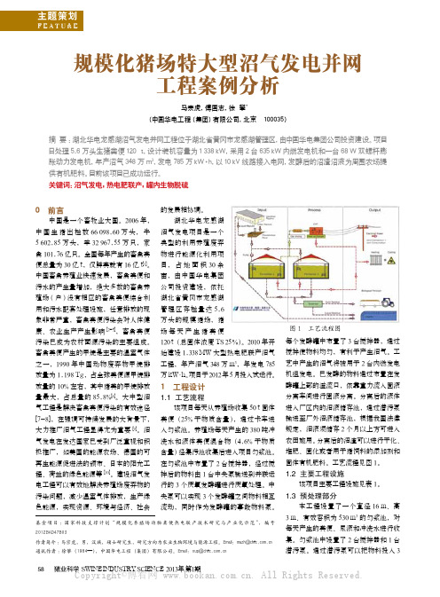 规模化猪场特大型沼气发电并网工程案例分析