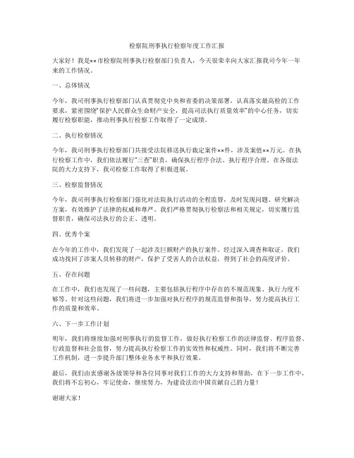 检察院刑事执行检察年度工作汇报