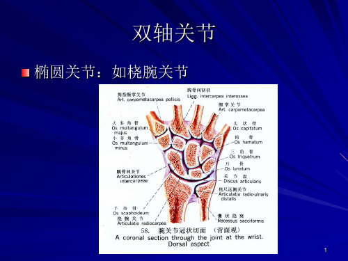 《康复运动学基础》