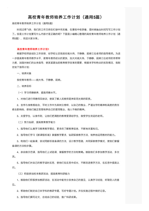 高校青年教师培养工作计划（通用5篇）