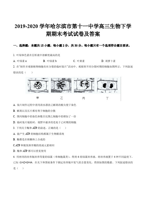 2019-2020学年哈尔滨市第十一中学高三生物下学期期末考试试卷及答案