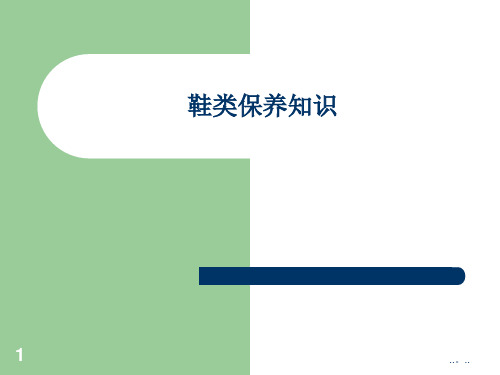 鞋类保养常识(转载)演示课件.ppt