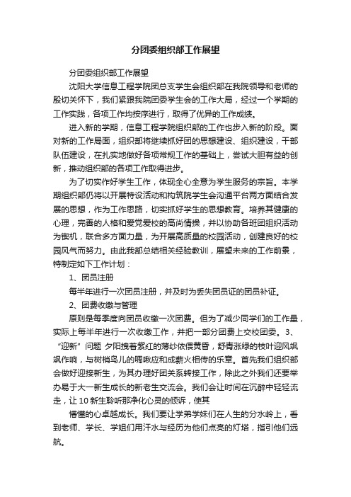 分团委组织部工作展望