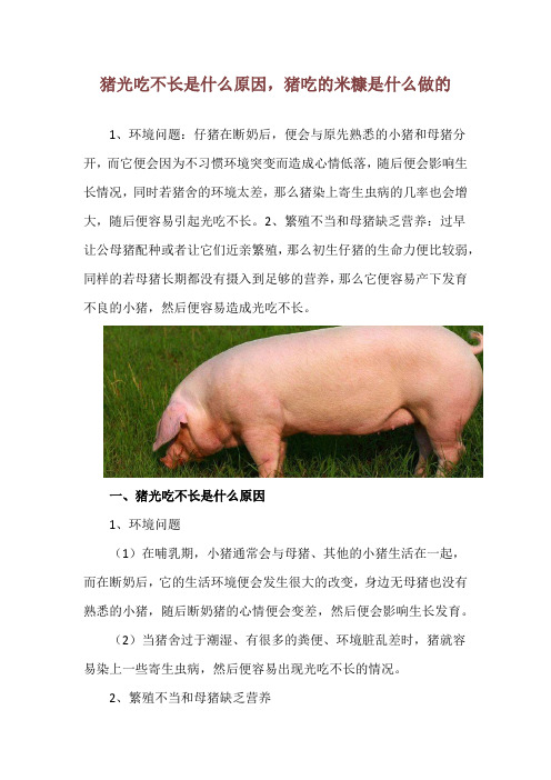 猪光吃不长是什么原因,猪吃的米糠是什么做的