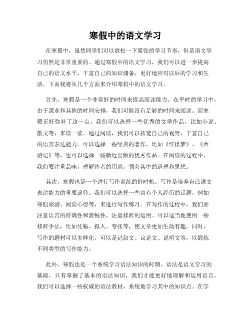 寒假中的语文学习