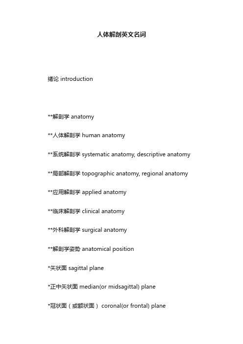 人体解剖英文名词