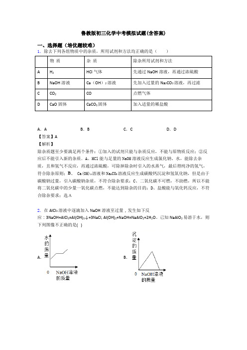 鲁教版初三化学中考模拟试题(含答案)