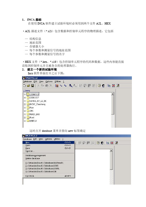 INCA软件教学