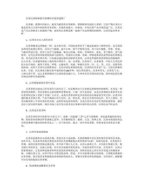 名贵沉香树种植有着哪些市场用途呢?